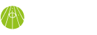 3g Line Marking